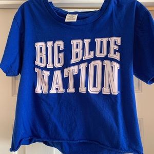 Kentucky wildcats crop top